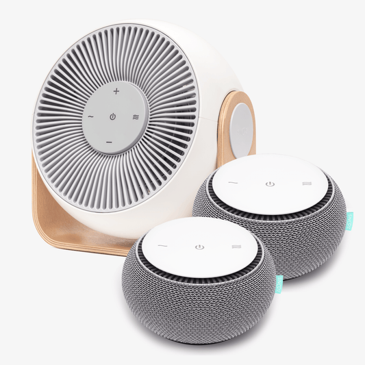 Big Fans of Sleep Bundle